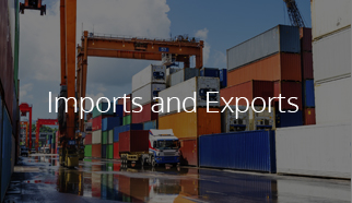 Import & Export Services